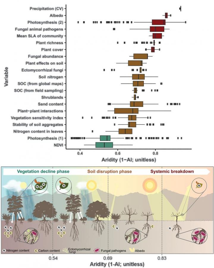 Sequence of abrupt responses in global drylands as aridity increases