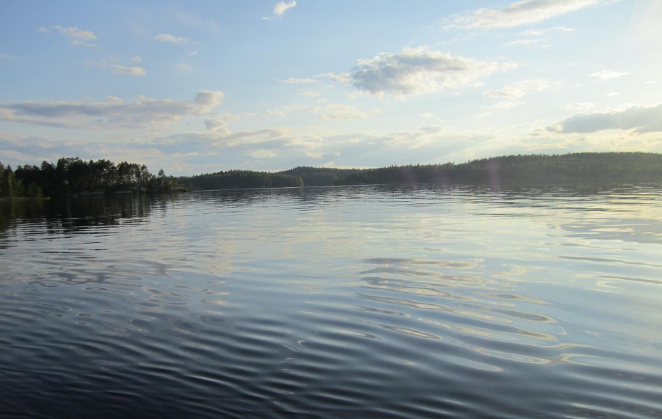New Study on Boreal Lake Methane Emissions