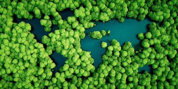 New Study Finds Lakes Have Tripled the Amount of Carbon They Bury in Response to Human Disruption of Global Nutrient Cycles