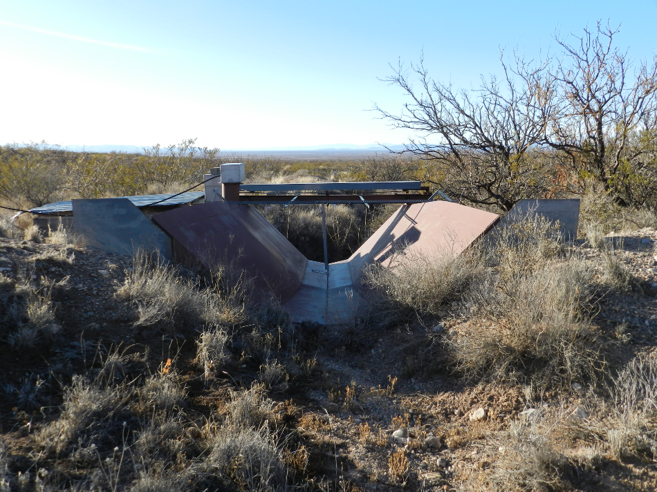 Study Finds Vegetation Changes can Outweigh Climate Change - AZoCleantech