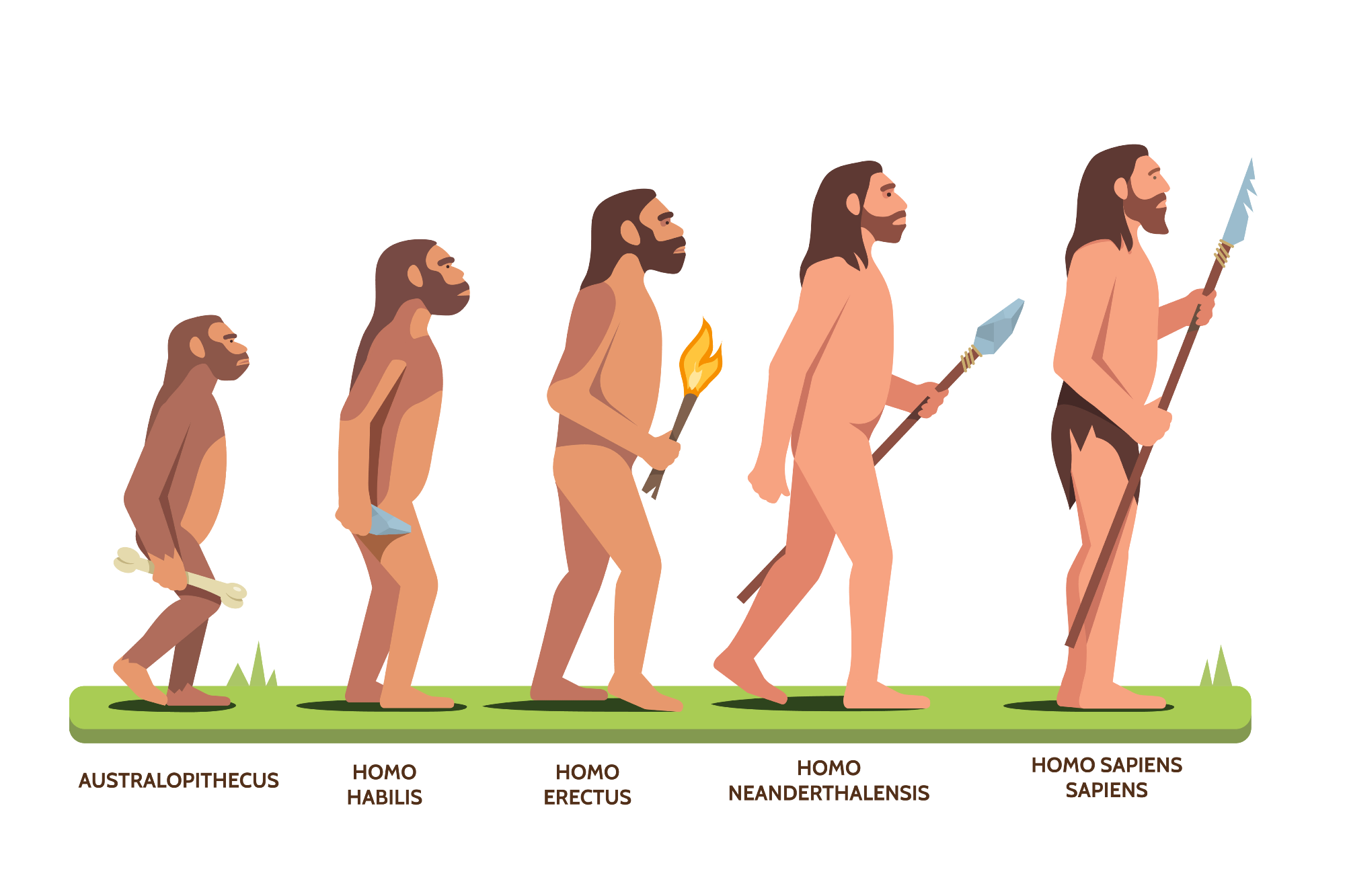 Climate Change is Linked to Extinction of Early Humans
