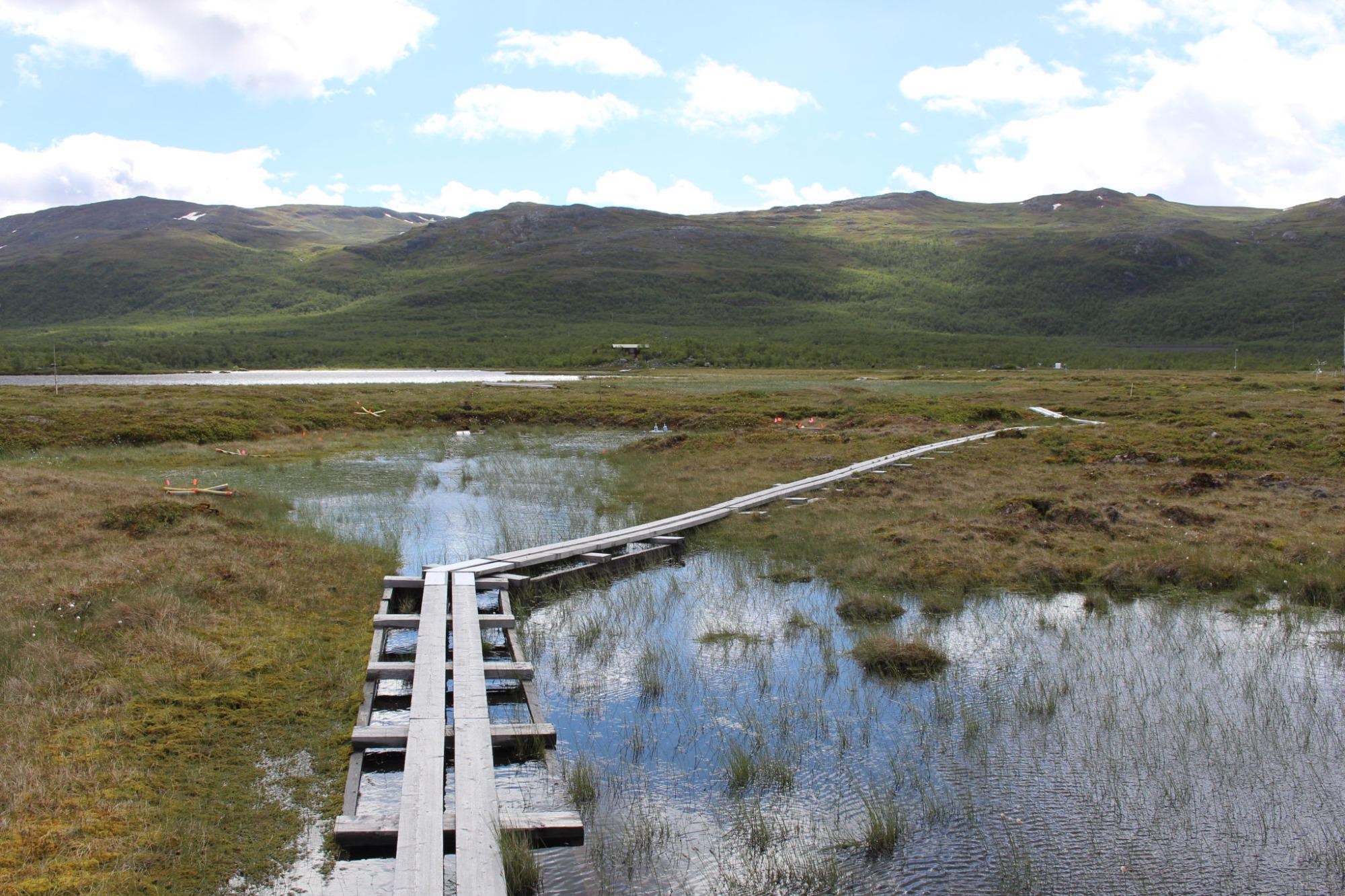 Rising Temperatures are Increasingly Thawing Permafrost Soils