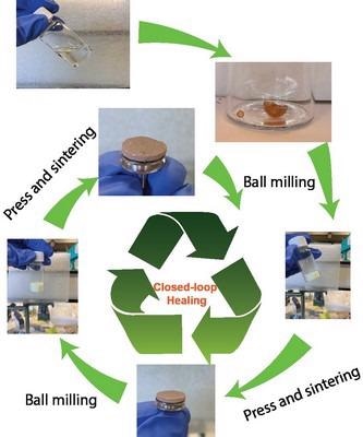 The new vitrimer membrane is made by pressing and sintering polymers from the natural monomer malic acid.