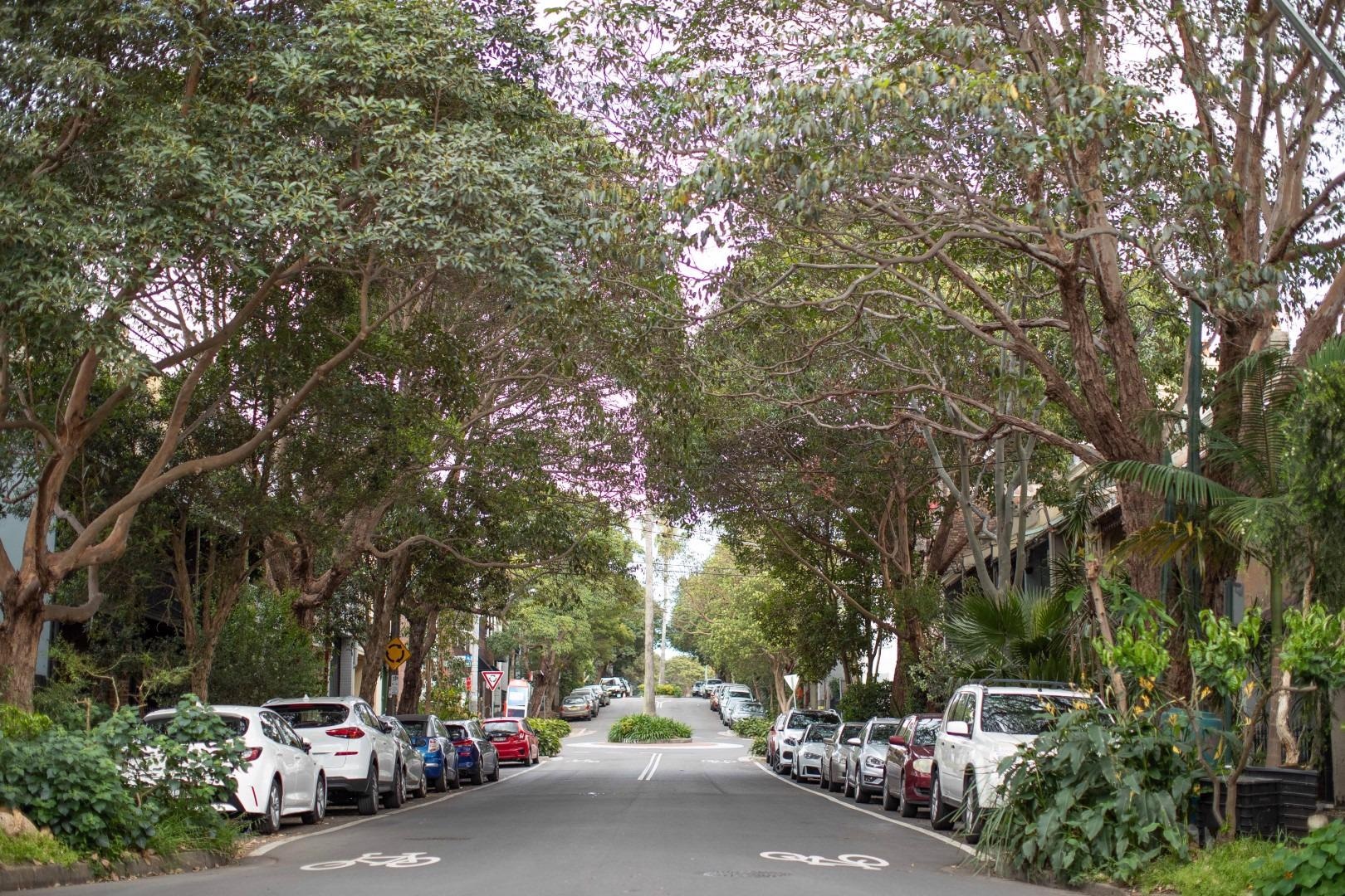 Turning Grey to Green in Sydney's Urban Jungle