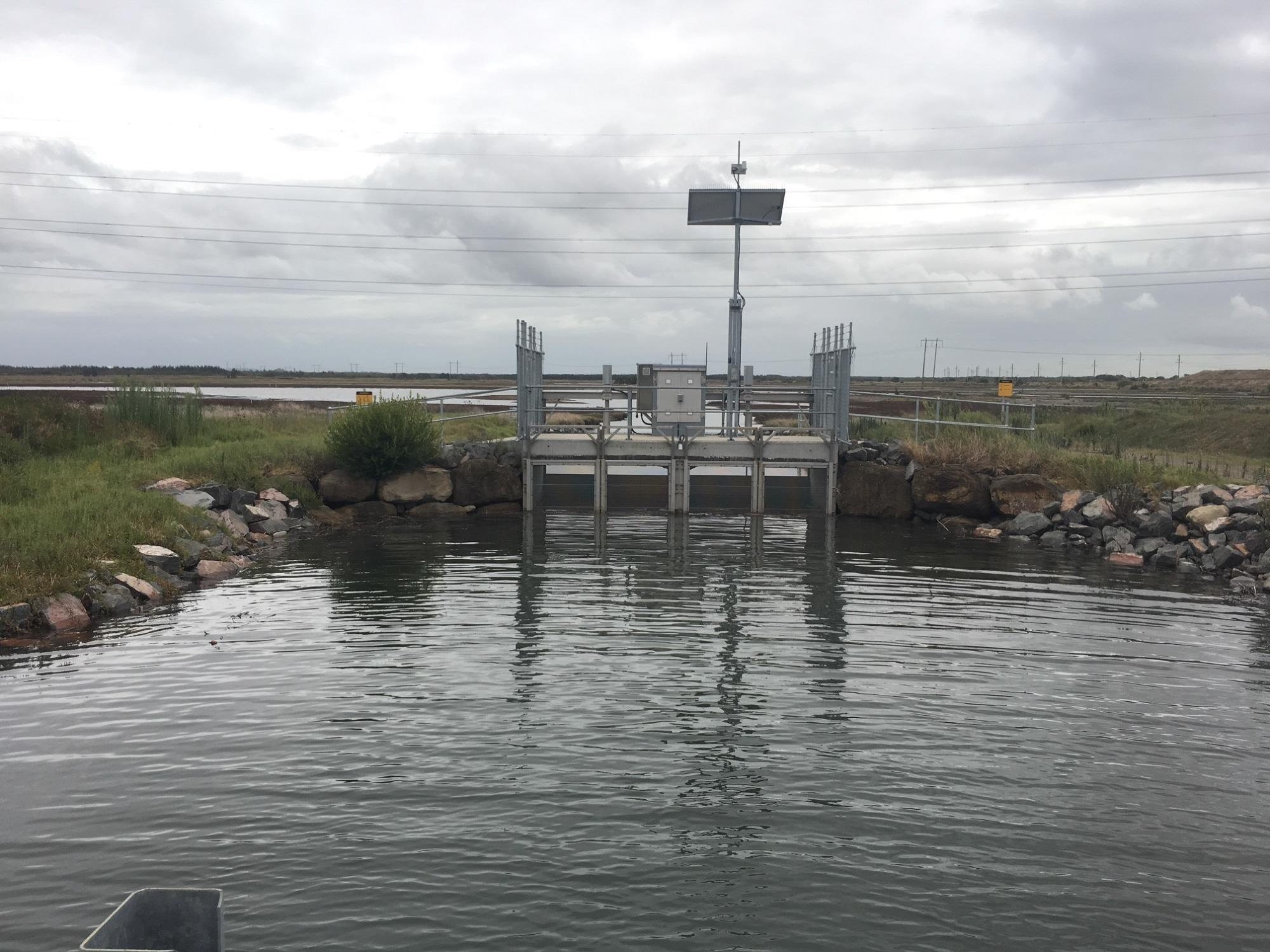 Recreating the Perfect Tide to Protect Coastal Wetlands from Rising Sea Levels