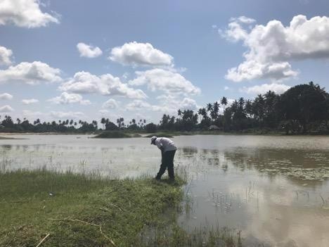 Early Interventions may Prevent Transmission of Vector-Borne Diseases in Changing Climate