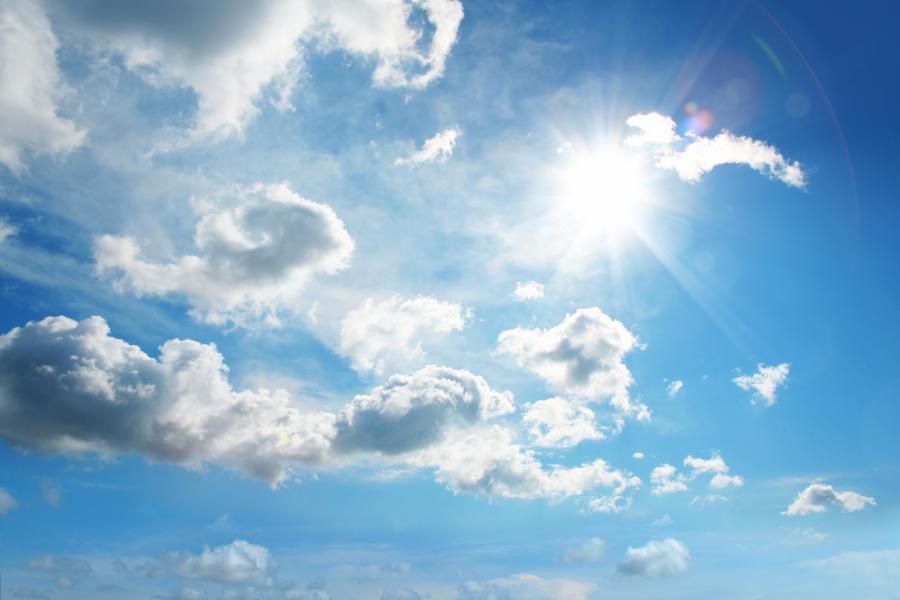 Researchers Explore the Effect of Solar Climate Interventions on Ecology