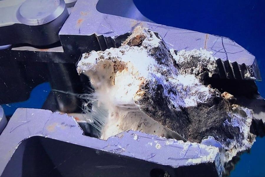 Deep-Sea Bacteria Release Excess Carbon into the Ocean and Atmosphere