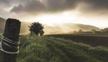 Adapting to Extreme Climate Change Poses a Challenge to Many Farmers