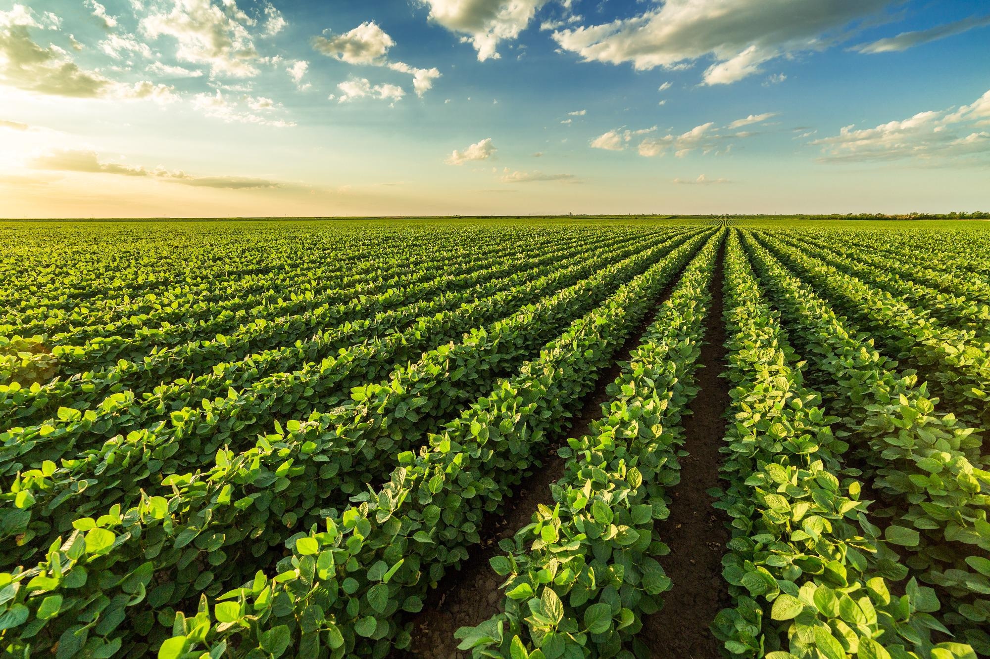 Solar Geoengineering can Mitigate Effects of Global Warming on Rainfed Crops