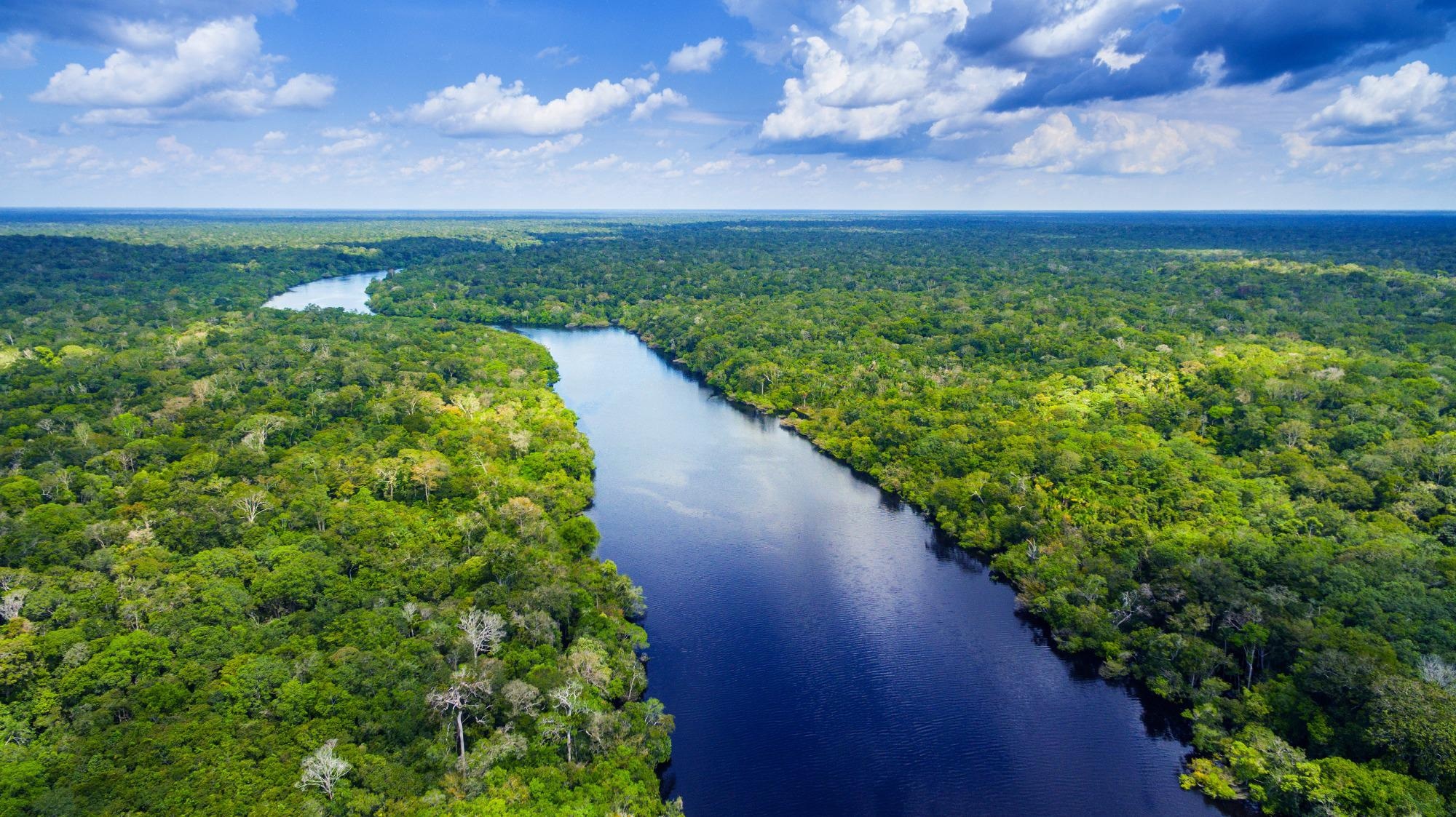 Indigenous Amazonia Populations may have Declined due to Climate Change Before Great Dying