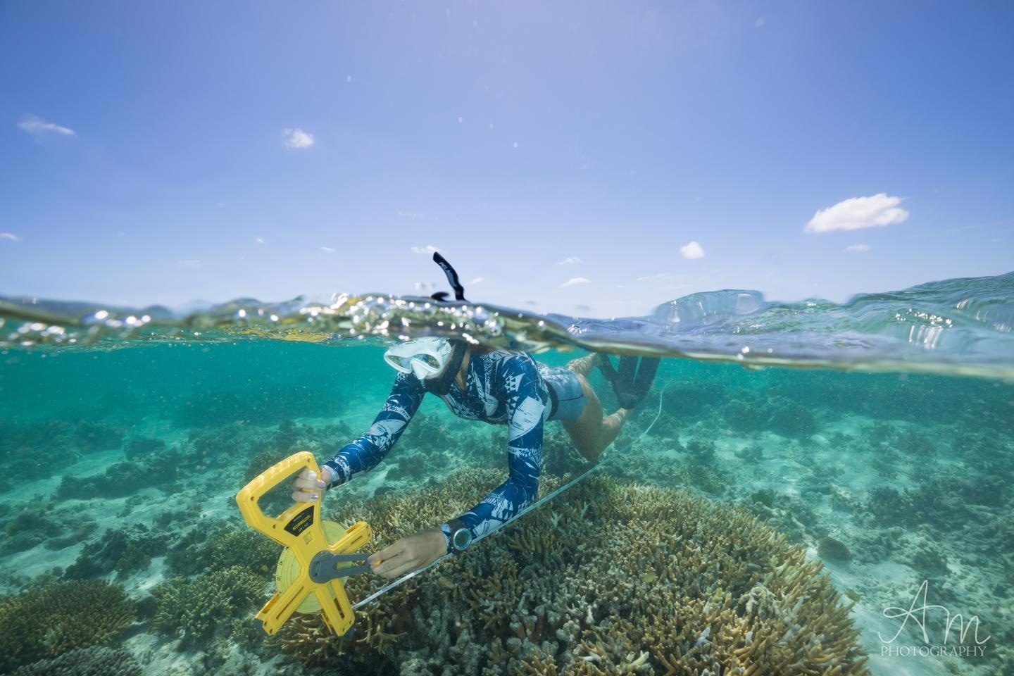 Declining Coral Health may Contribute to Reduce Global Calcification Rates.