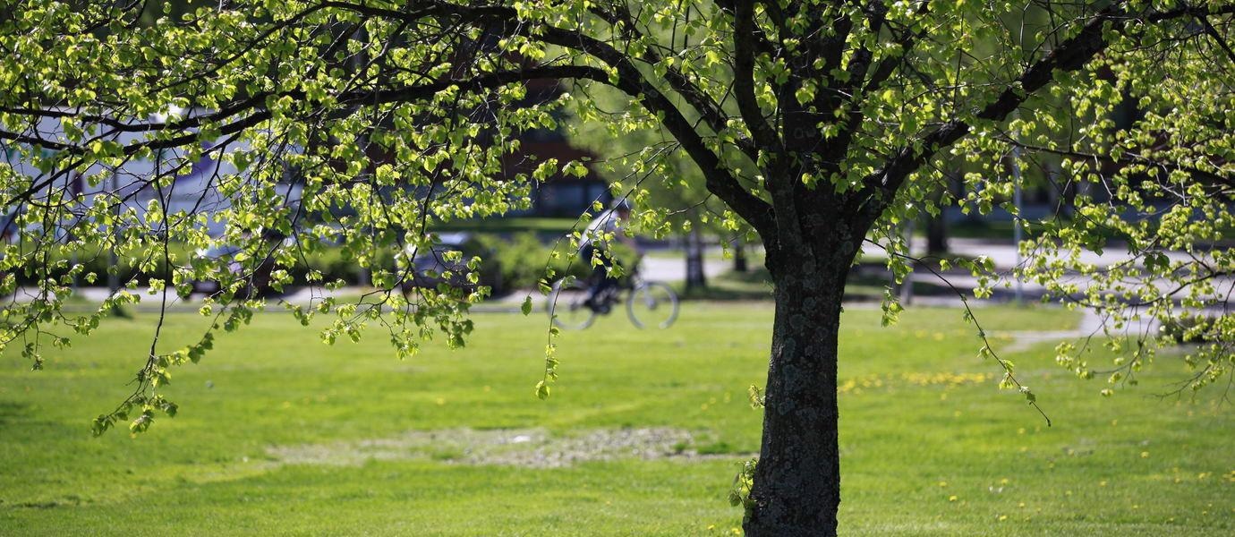 Existing Carbon Footprint Standards can Lead to Green Infrastructure