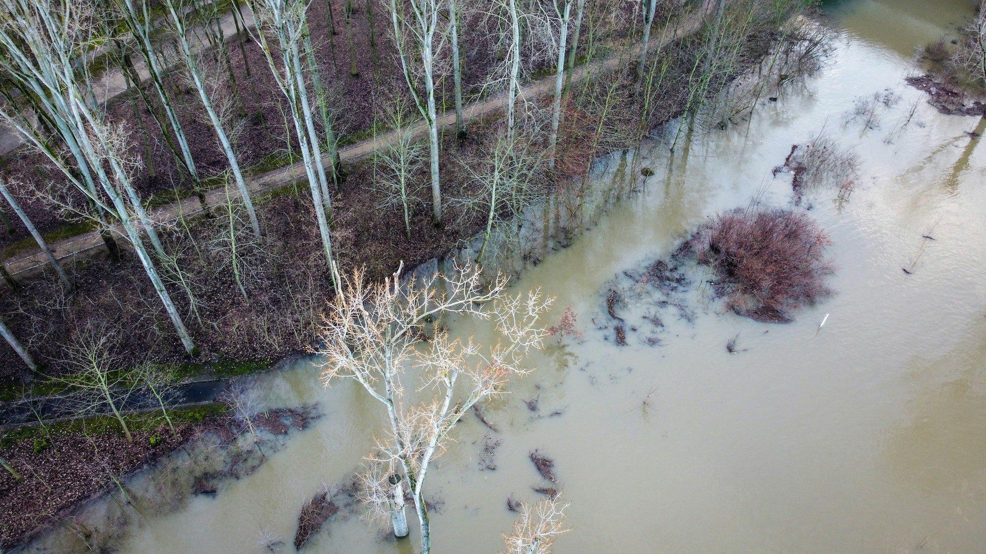 Plant Responses to Floods are Crucial in Modeling Soil Carbon Storage
