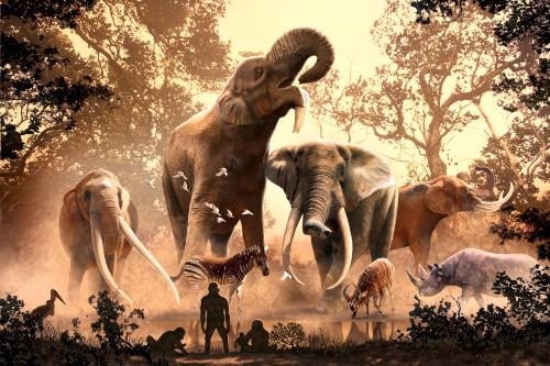 Climate Change Led to Extinction of Elephants and Their Forebears