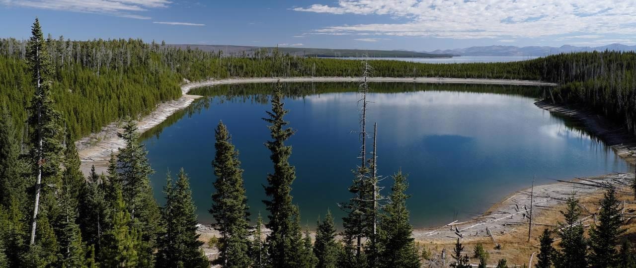 Researchers Use AI to Predict the Impact of Future Forest Fires