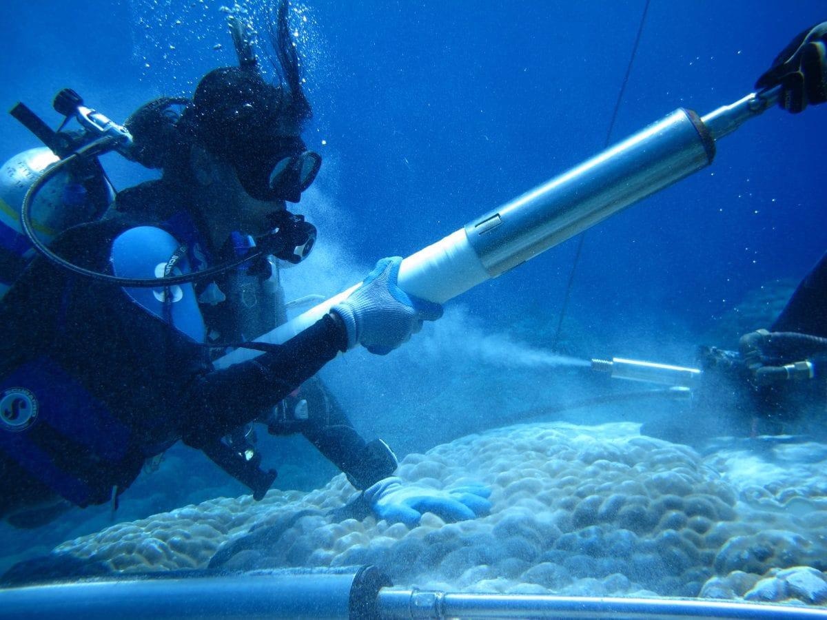 Paleo Proxies Provide Insights on Heat and Freshwater Changes in Indian Ocean.