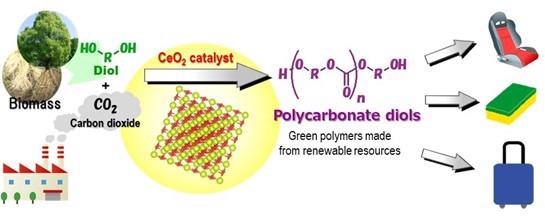 Researchers Successfully Synthesize Polycarbonate Diols from CO2 and Diols.
