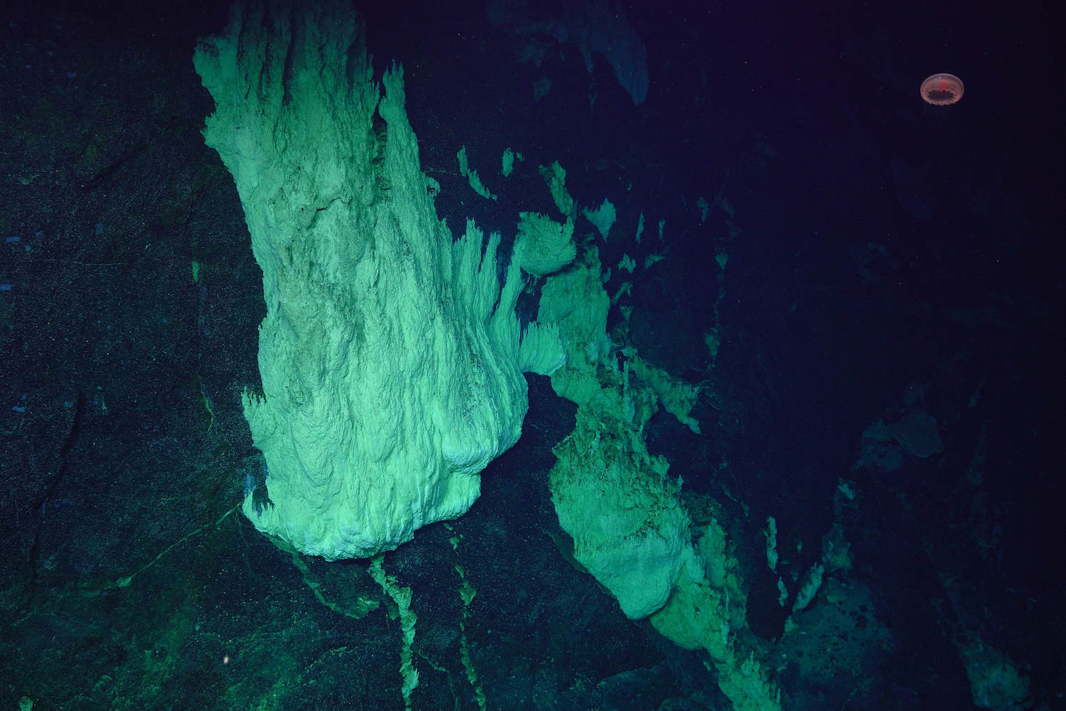 Underwater mountain