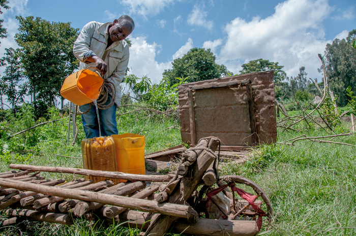 Different Land Management Strategies can Help Sequester More Carbon in Soil.