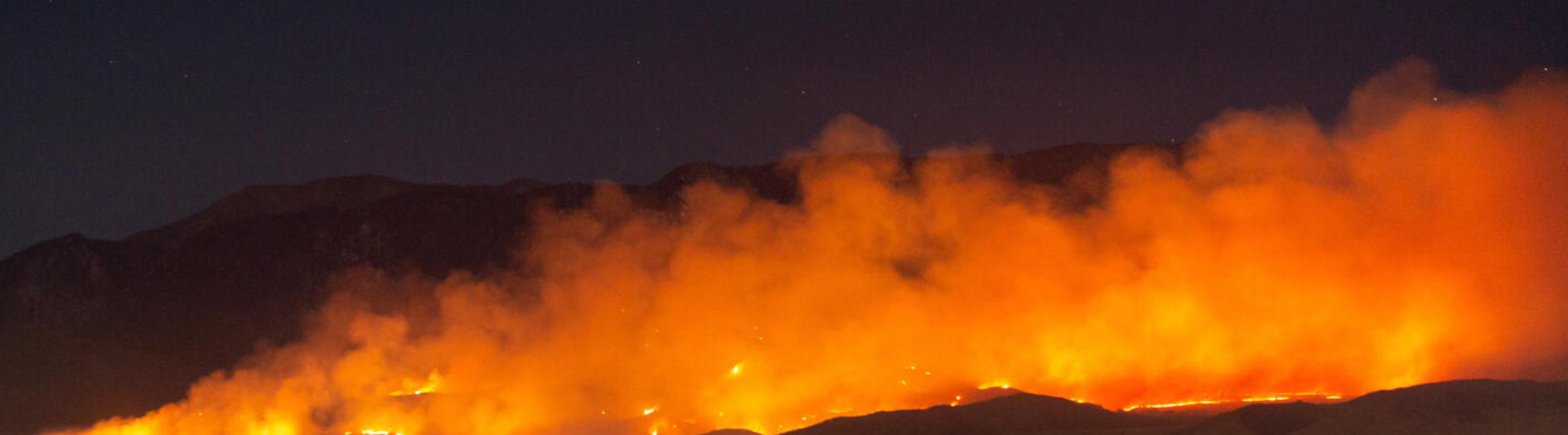 Wildfire Smoke Led to Excess COVID-19 Cases and Deaths.