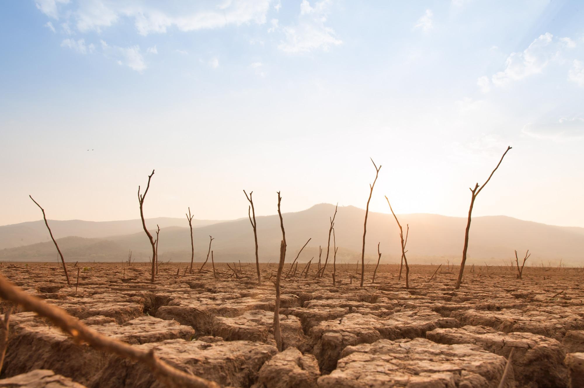 Study Calls for Emergency Action to Limit Global Temperature Increases.