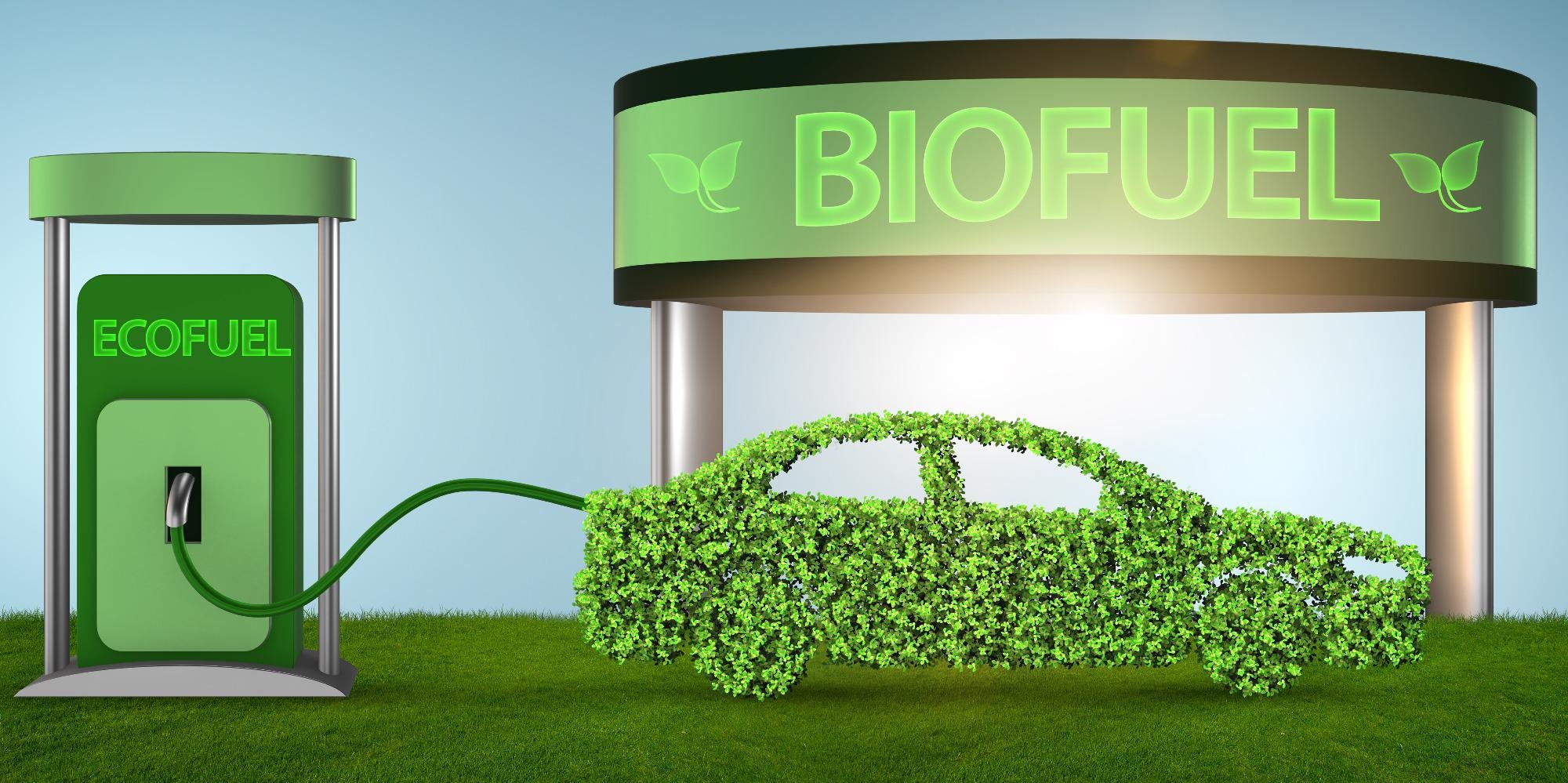 Radiation Treatment to Convert Organic Waste into Renewable Biofuel Additives.