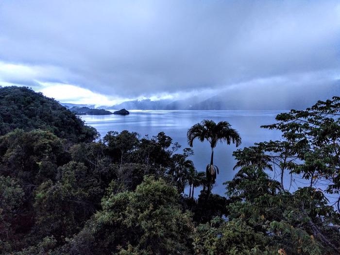 Warning Signs of Ecosystem Collapse Identified in Papua New Guinea Wetland.
