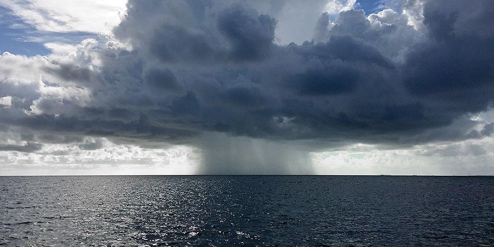 Study Reveals How Mercury Enters Seawater.
