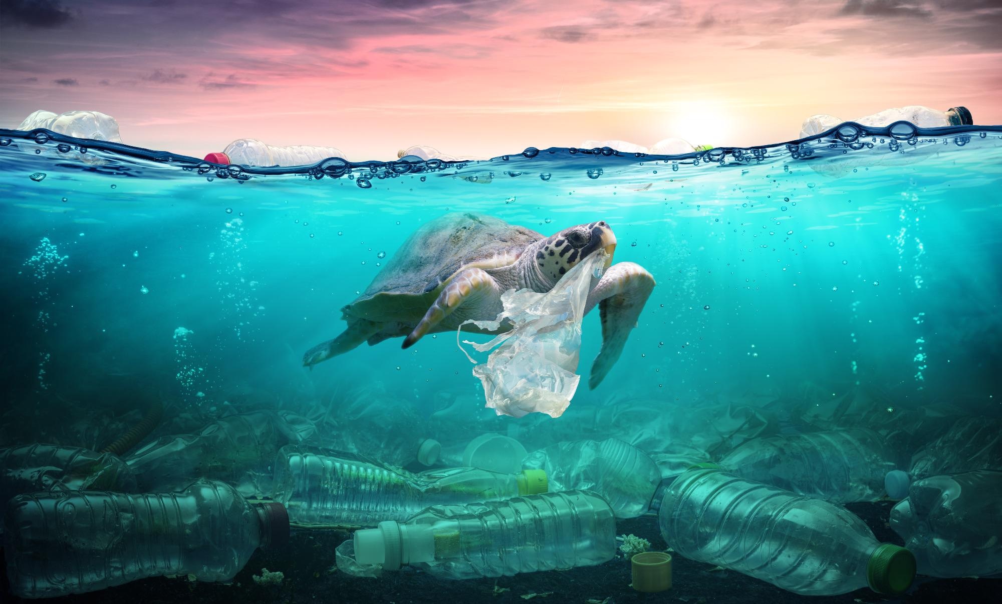 New Model to Trace the Fate of Plastic Debris in the Mediterranean Sea.