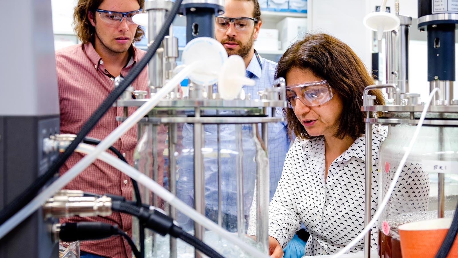 Innovative Research and Educational Collaboration to Boost the Development of Bioenergy Sector.