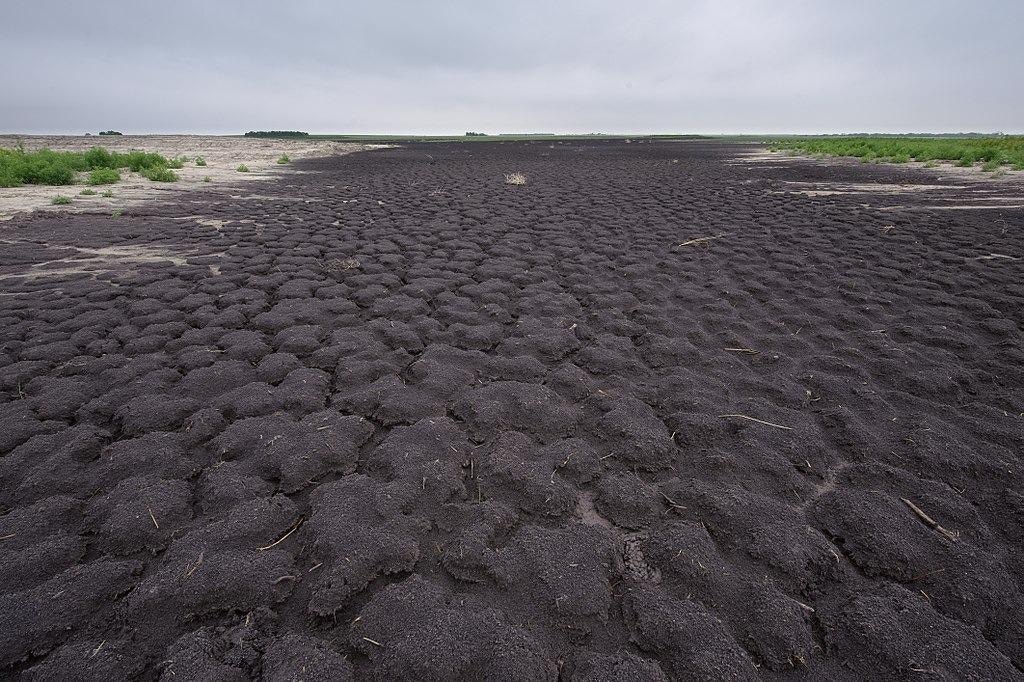 Texas Droughts Were More Severe and Lasted Longer than Thought Earlier, Finds Study.