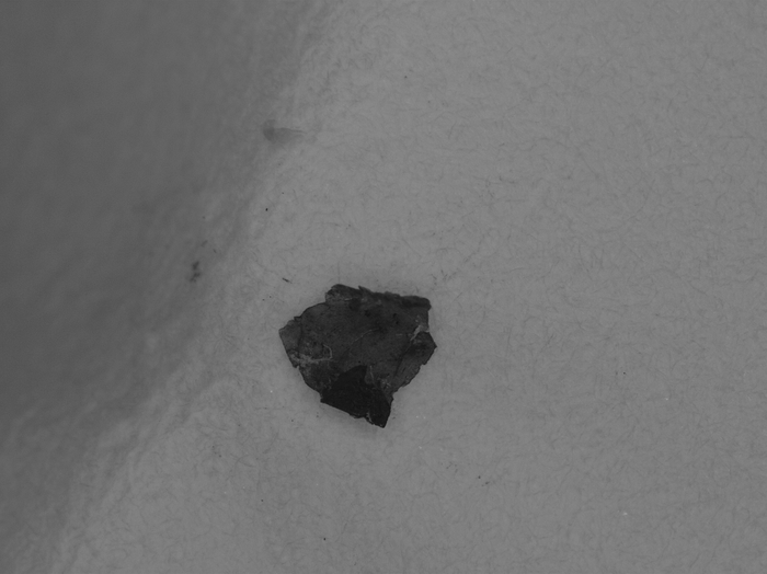 Huge Amounts of Microscopic Paint Flakes Found in the North Atlantic.