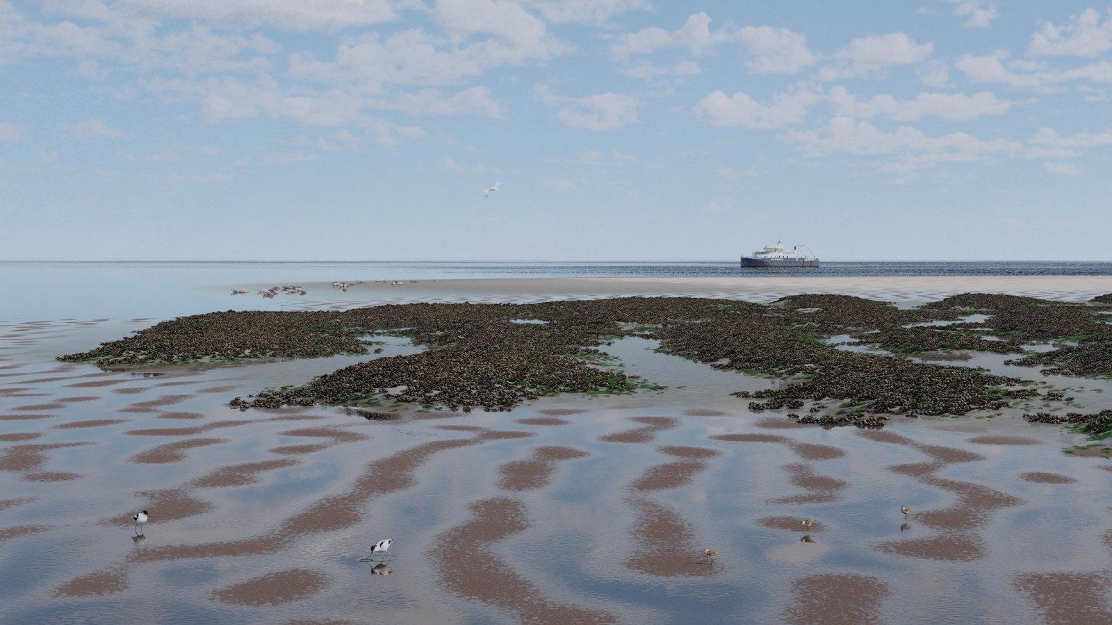 Climate Change May Lead to Tipping Points, Finds Study.