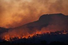 Climate Models Misinterpret Effects of Black Carbon Aerosols from Seasonal Fires.