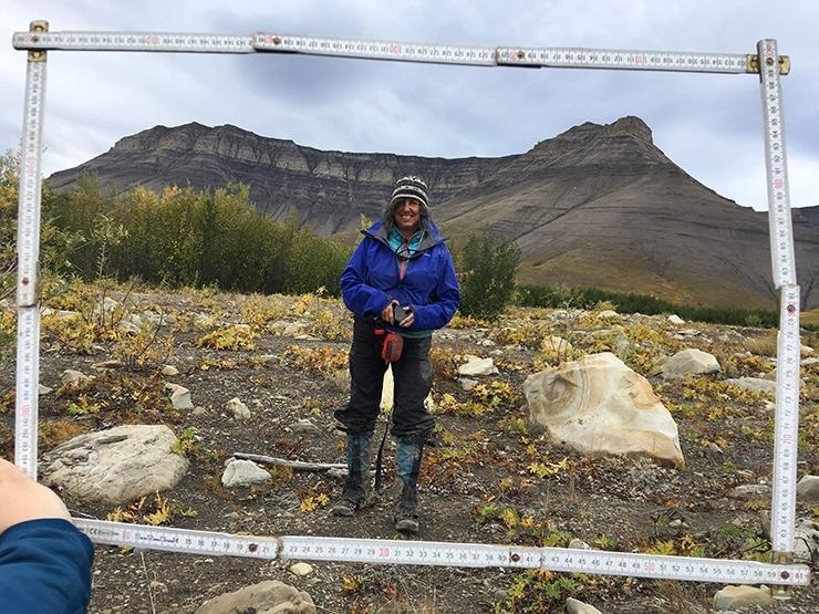 Research Analyzes Impact of Climate Change on Arctic Watersheds.