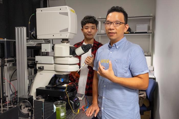 Novel Method to Increase Energy Production from Microalgae.
