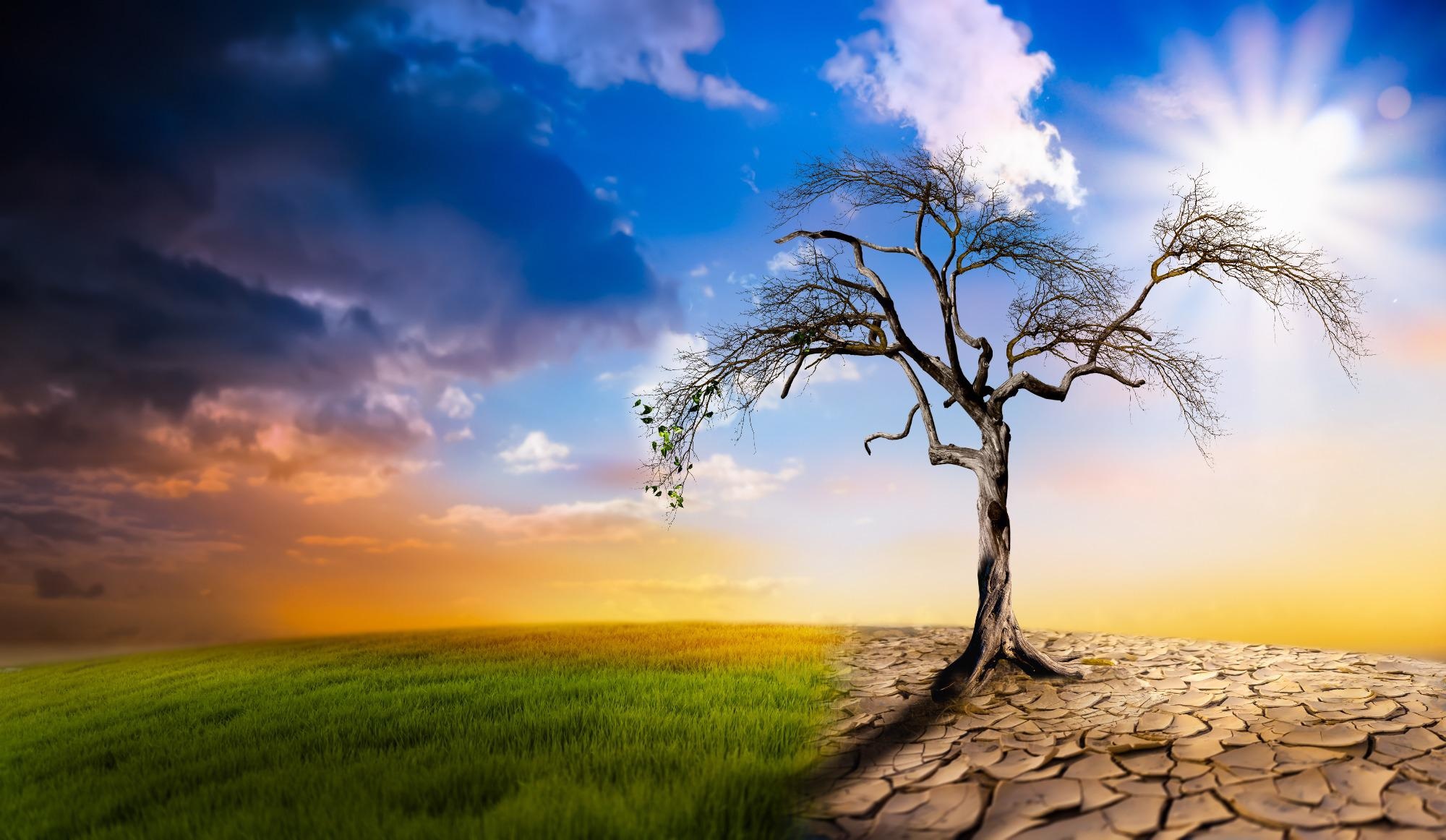 Humans are Highly Responsible for Climate Change, Says Study.