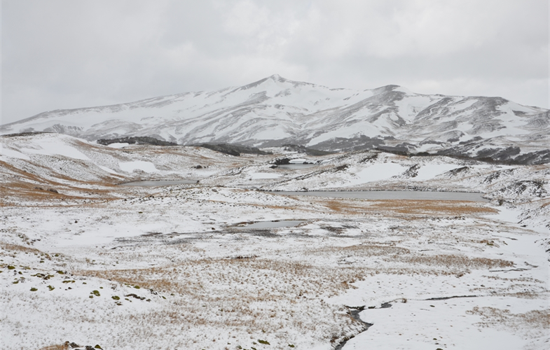 Study Models Changes to the World’s Life Zones Caused by Climate Change.