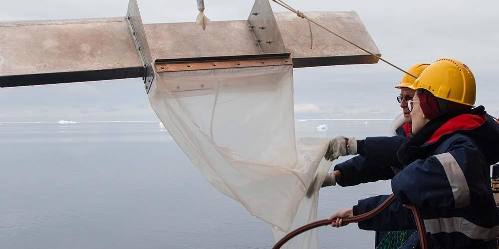 Researchers Analyze the Origins of Microplastics in Antarctica.