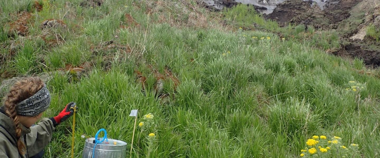 Thawing Permafrost Releases Nitrous Oxide, a Greenhouse Gas.