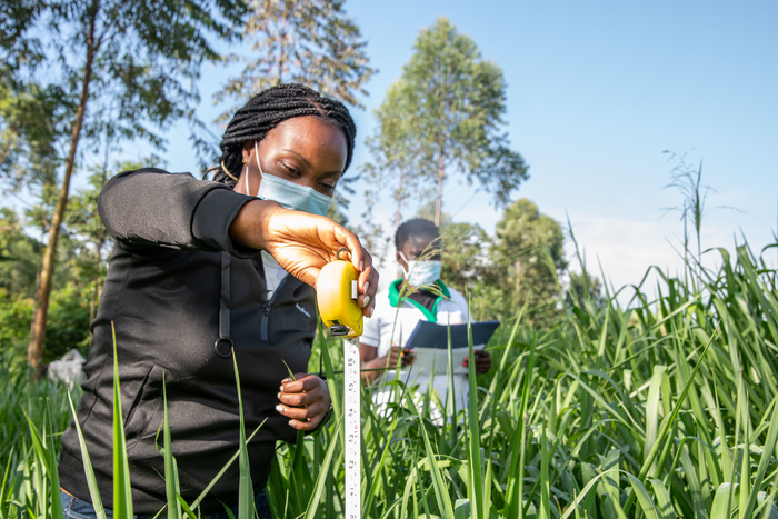 Food Systems Account for One-Third of Global Greenhouse Gas Emissions