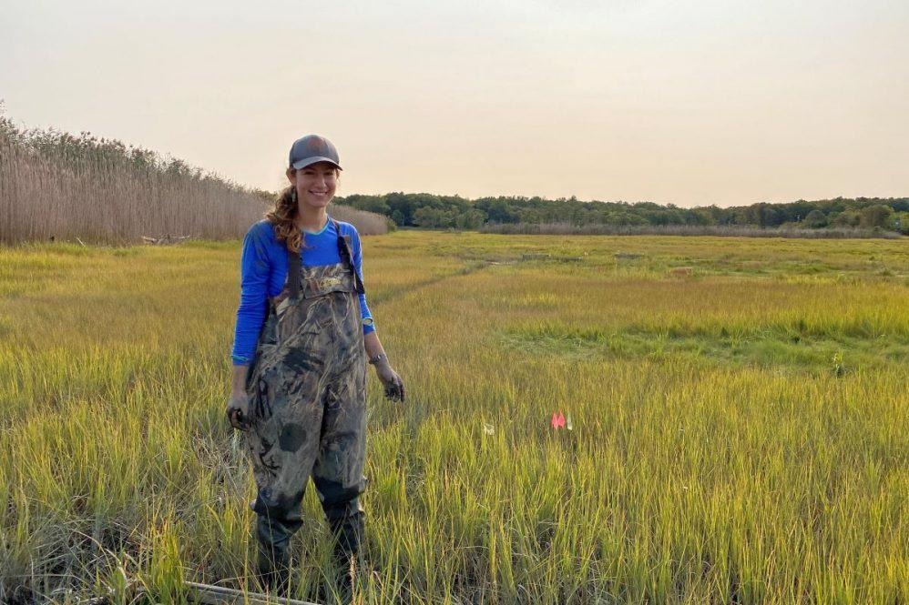 Addition of Right Amount of Sediment to Salt Marsh Protects Coastlines.