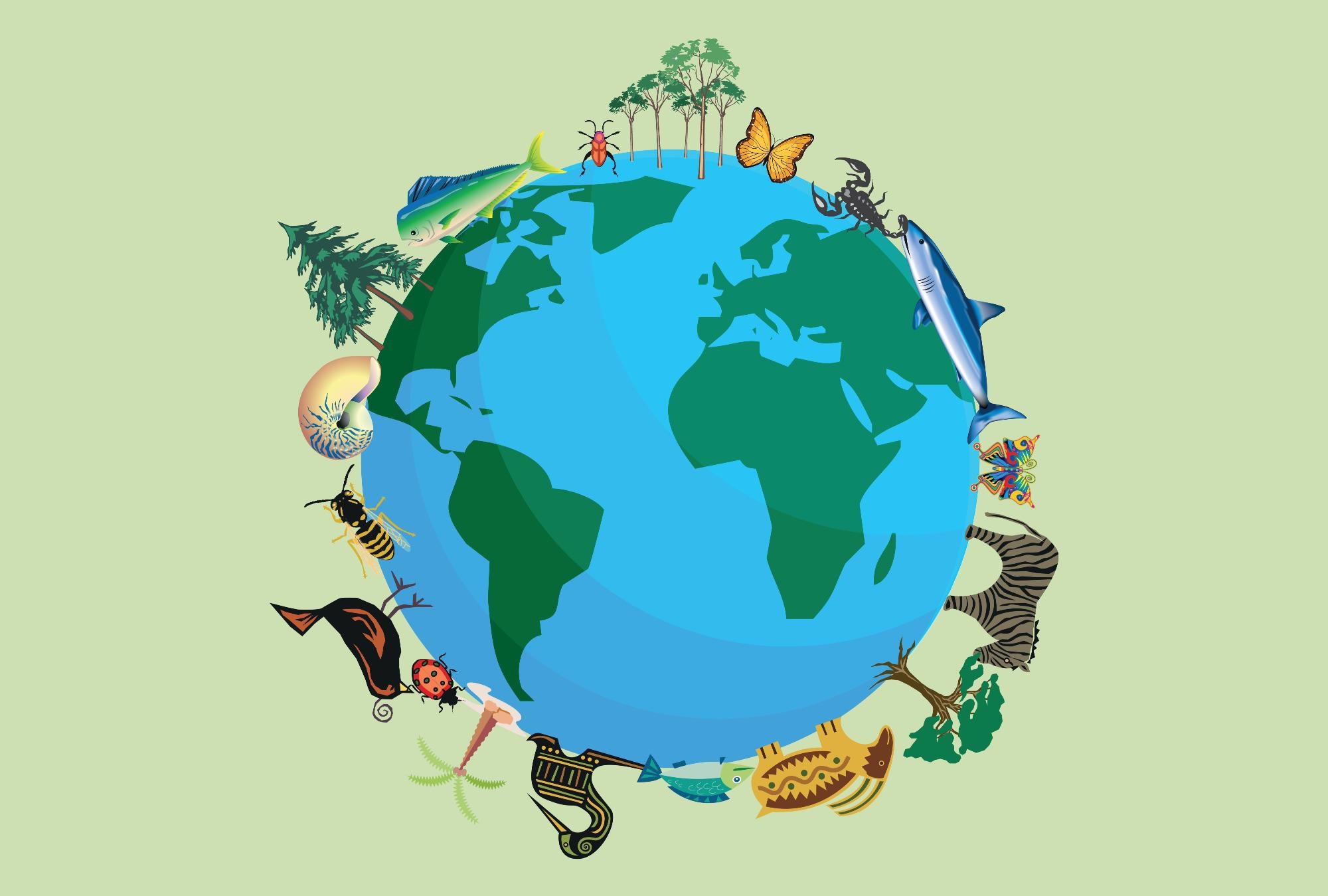 The Importance of Conserving Biodiversity.