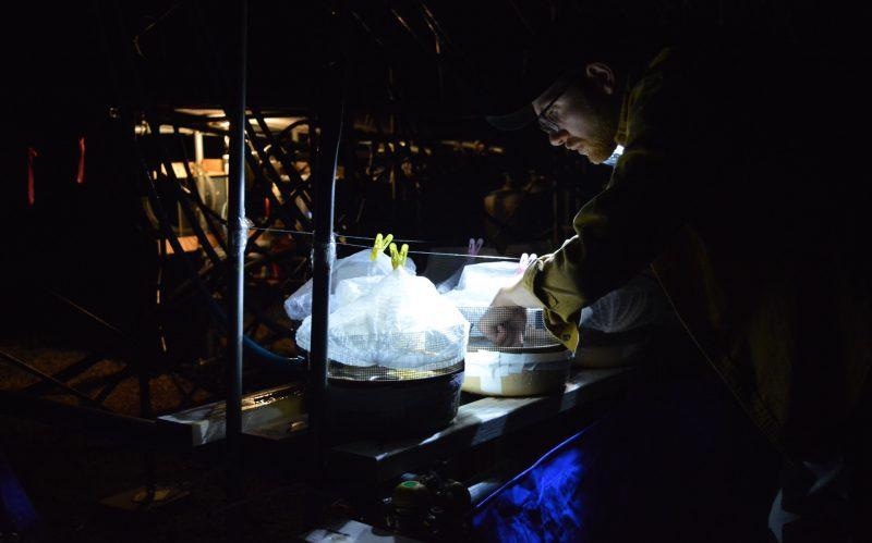 Dr. Samual Ross monitoring the experiments at night..