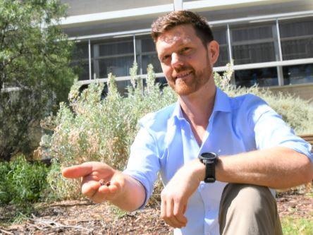 Soils at the Root of Ecosystem Restoration