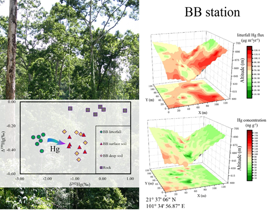 Exploring Hg Mass Balance in Tropical Forests Along a Latitudinal Gradient.