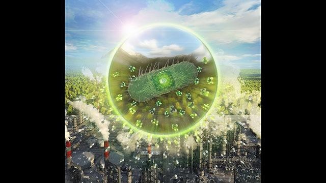 Engineered Bacteria Upcycle Waste Carbon Dioxide into Chemicals for Numerous Applications.