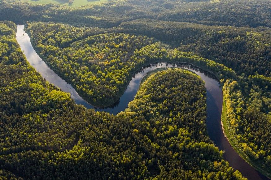 Study Analyzes the Reason Behind the Loss of Resilience in the Amazon Rainforest.