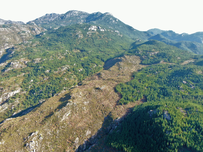 Nature-Centered Solutions in Mountains Can Lessen the Effects of Climate Change on Drought.